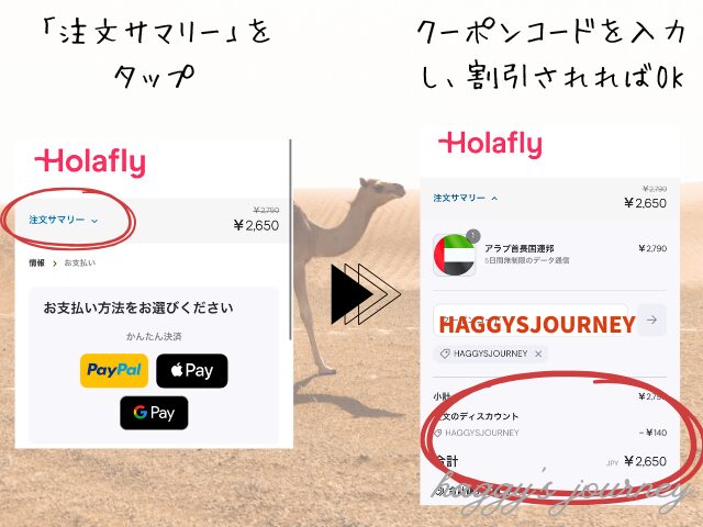 Holafly、アラブ向け、購入方法