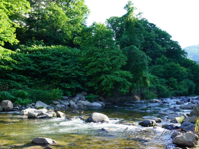 定山渓、川