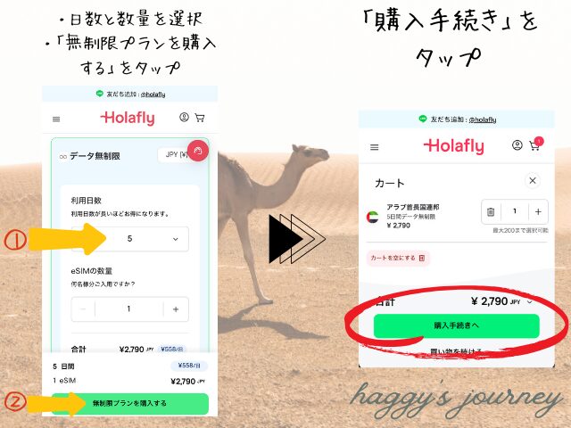Holafly、アラブ向け、購入方法