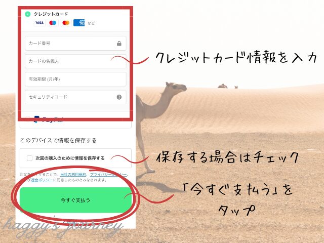 Holafly、アラブ向け、購入方法