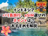 バリ島、eSIM