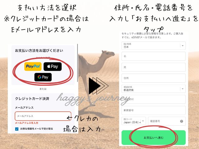 Holafly、アラブ向け、購入方法