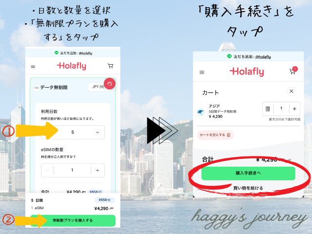 Holafly、アジア向け、購入方法