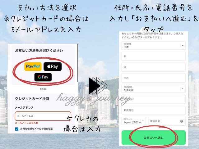 Holafly、アジア向け購入方法③