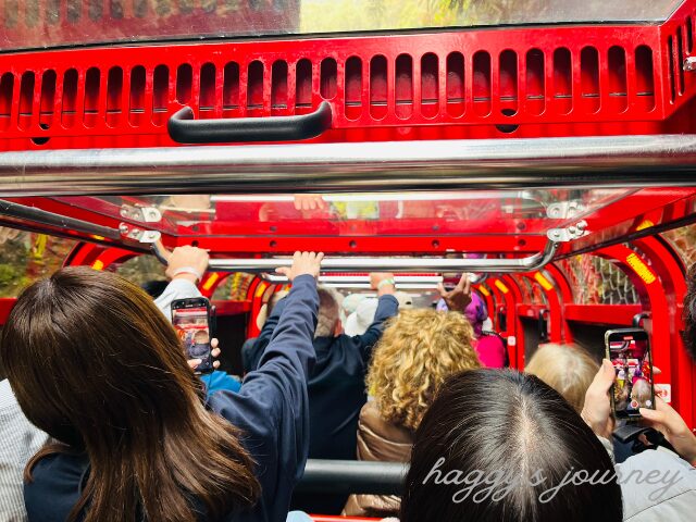 シーニックワールド、トロッコ列車