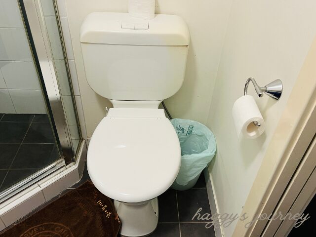 Cityview Studio Accommodation、トイレ