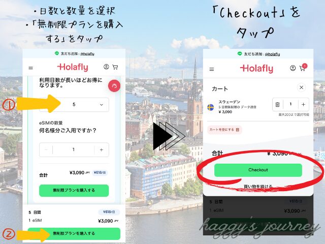 スウェーデン向け購入方法①