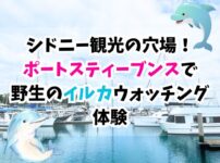 シドニー、観光、穴場