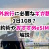海外 旅行 ギガ 数