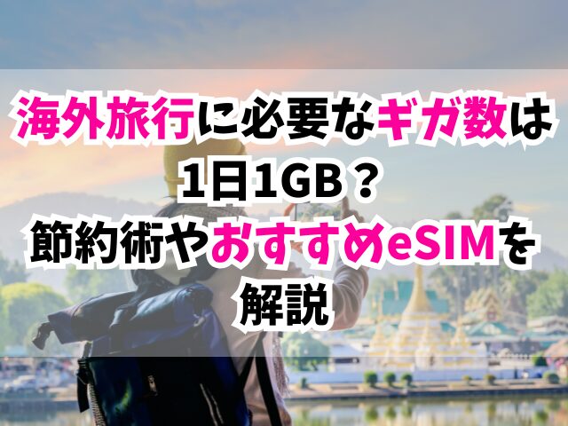 海外 旅行 ギガ 数