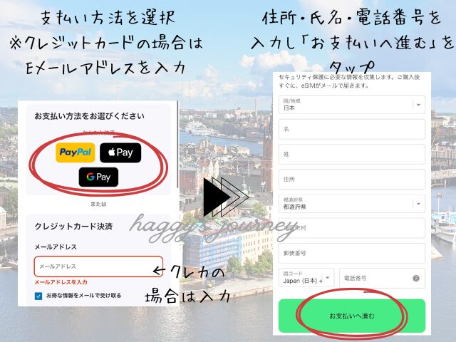 スウェーデン向け購入方法③