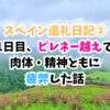 スペイン巡礼、ピレネー