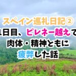 スペイン巡礼、ピレネー