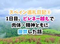 スペイン巡礼、ピレネー