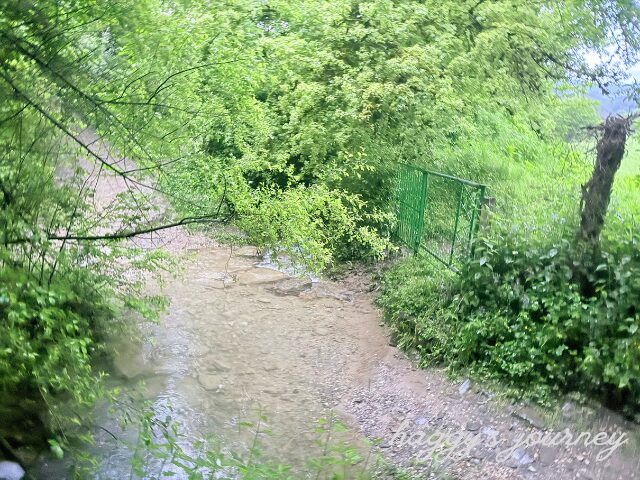 ズビリ、水たまり