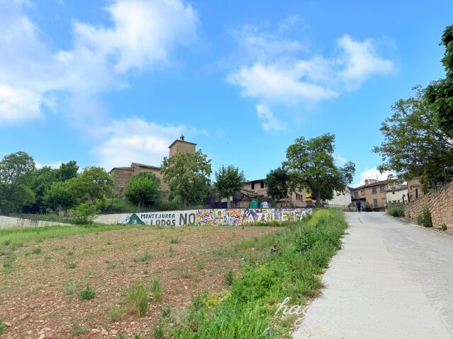 アスケタ