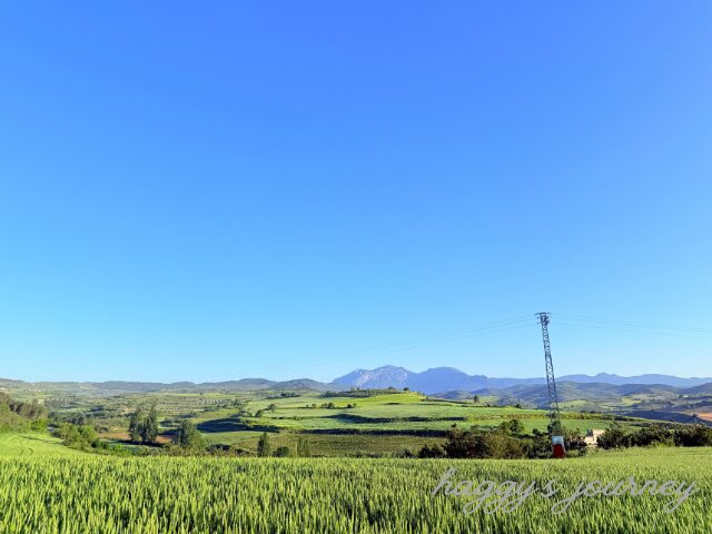 トレスデルリオ、草原