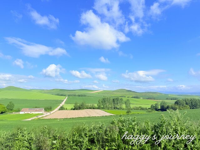 スペイン、グラニョン