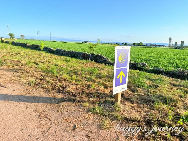 サント・ドミンゴ・デ・ラ・カルサダ