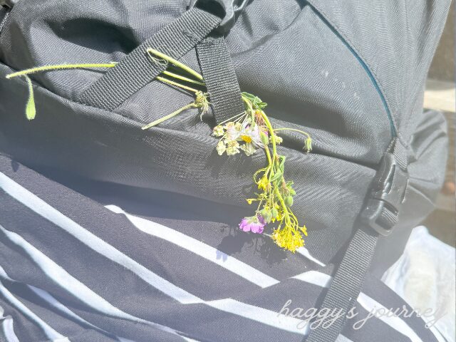 スペイン巡礼、イタズラ