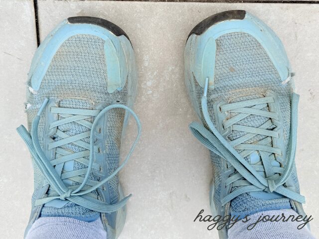 スペイン巡礼、靴、失敗、穴