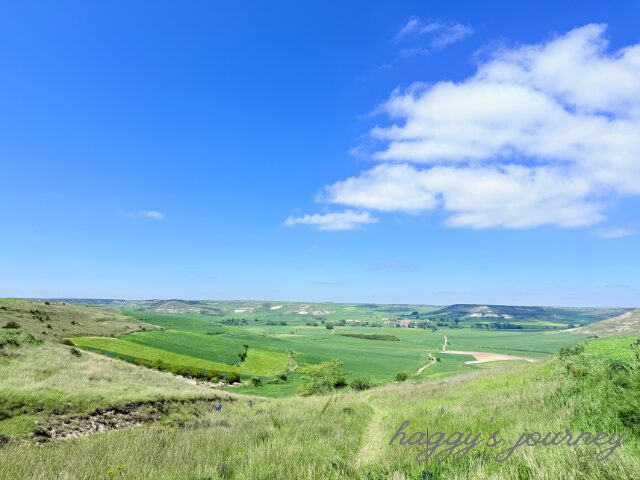 オルニーニョス・デル・カミーノ