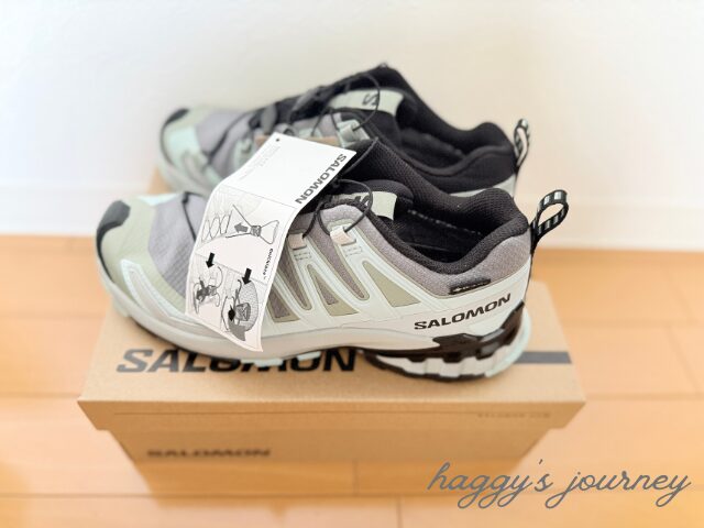 XA PRO 3D V9 ゴアテックス