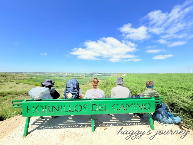 オルニーニョス・デル・カミーノ、ベンチ