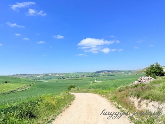 オルニーニョス・デル・カミーノ