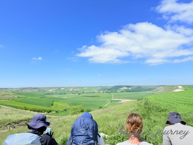 オルニーニョス・デル・カミーノ、ベンチ