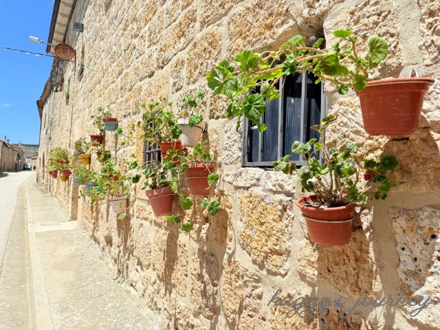 オルニーニョス・デル・カミーノ、家