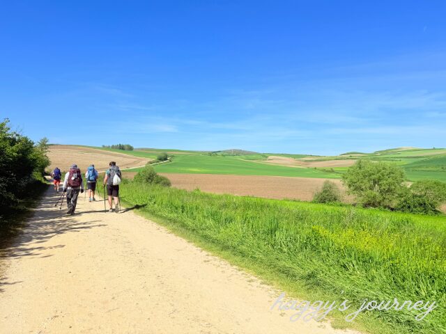 エスピノサ・デル・カミーノ、巡礼路