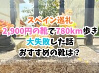 スペイン巡礼、靴