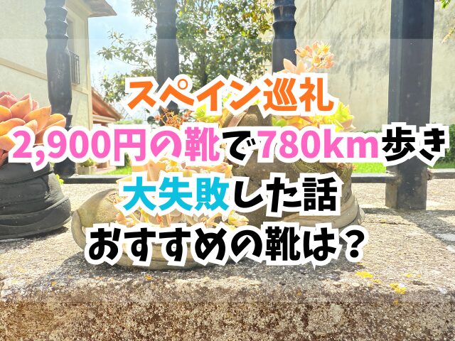 スペイン巡礼、靴