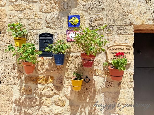 オルニーニョス・デル・カミーノ、アルベルゲ