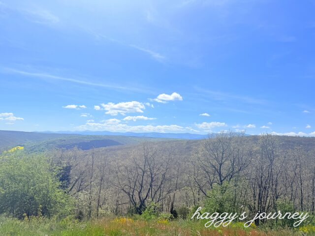 スペイン巡礼、山道