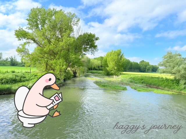 サンティアゴ巡礼、トイレ