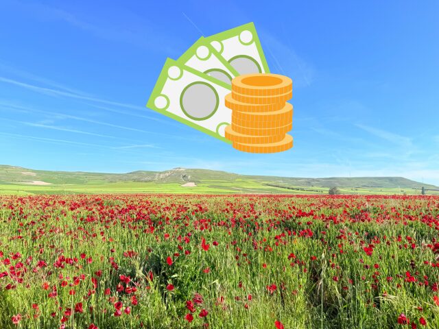 スペイン巡礼、費用、モデルケース