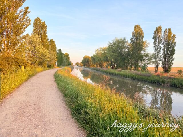 スペイン巡礼、朝日に照らされた美しい道