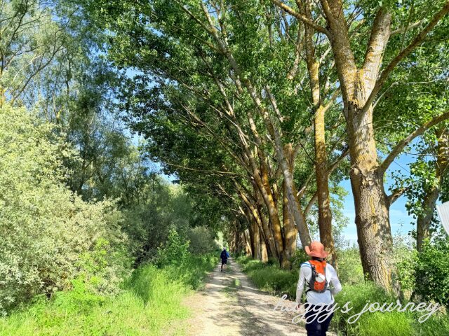 ポブラシオンデカンポス、一本道