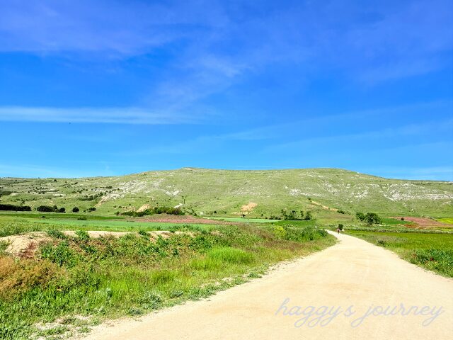 カストロへリス