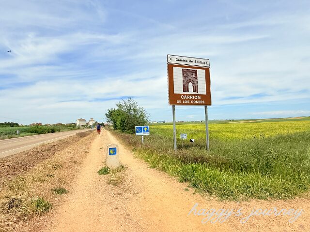 カリオン・デ・ロス・コンデス、入り口