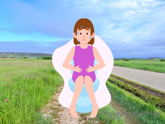 スペイン巡礼、トイレトラブル