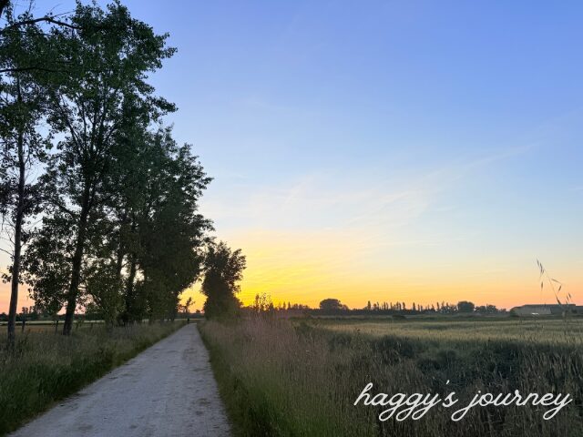 ボアディージャ・デル・カミーノ、一本道、朝