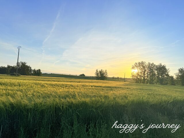 テラディリョス・デ・ロス・テンプラリオス、朝日