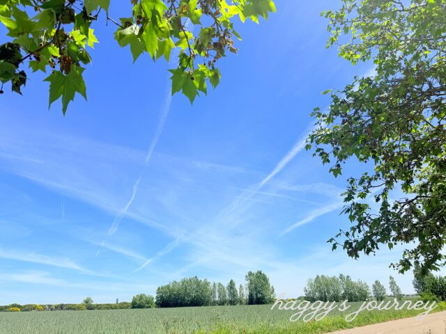 スペイン巡礼、腹痛を紛らわすために撮った風景