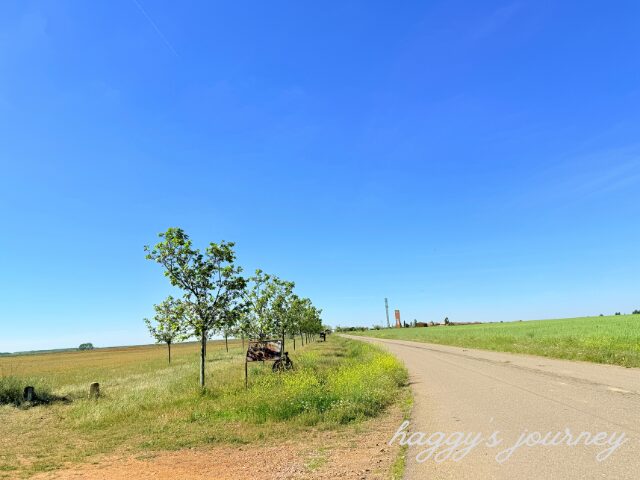 スペイン巡礼、一本道