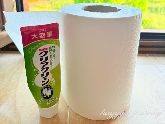 アルベルゲにあった大きなトイレットペーパー