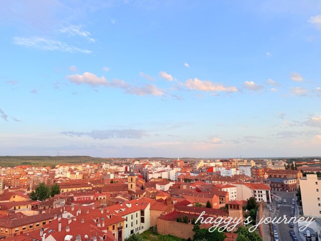 レオン、ルーフトップバー