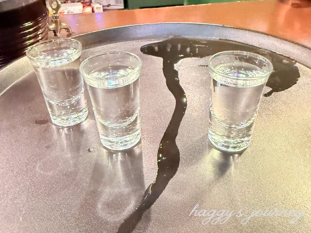 レオン、カジノの後にショット